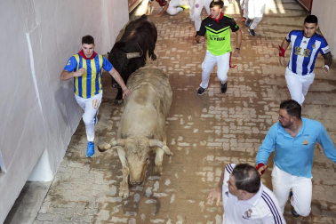 Entrada a la Plaza de Toros, cuarto encierro.