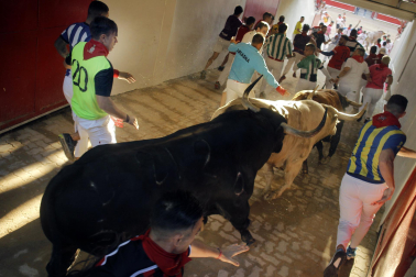 Callejón, cuarto encierro.