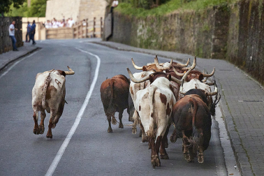 Encierrillo de Fuente Ymbro.