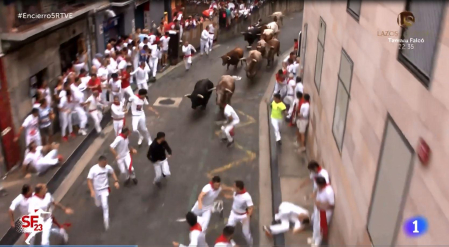 Ha sido arrollado por las reses en el quinto encierro de San Fermín