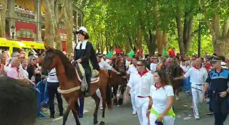 Seis toros de Jandilla serán lidiados en la corrida de este miércoles 12 de julio en la Feria del Toro de San Fermín 2023