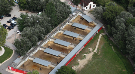 CORRALILLOS DEL GAS. Decenas de personas hacían cola para ver a los toros de este año