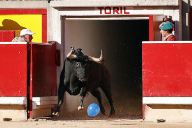 Fotos de la sexta corrida de la Feria del Toro San Fermín 2023./