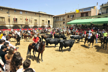 ALBERTO GALDONA  

Galería de fotos de la XXI Edición de la Vaca Brava de Larraga