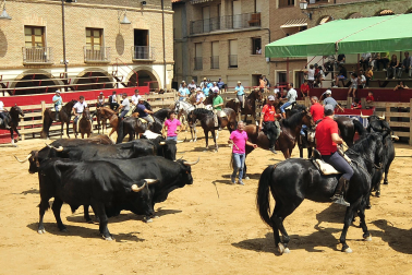 ALBERTO GALDONA  

Galería de fotos de la XXI Edición de la Vaca Brava de Larraga