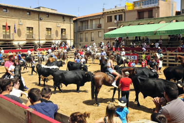 ALBERTO GALDONA  

Galería de fotos de la XXI Edición de la Vaca Brava de Larraga