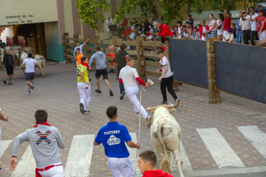 Imagen del primer encierro de las fiestas de Tudela 2023./