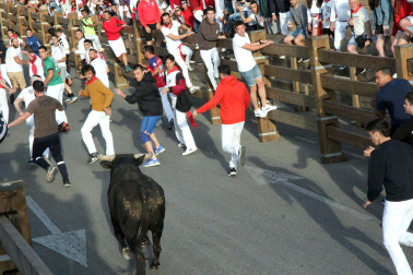 Imagen del primer encierro de las fiestas de Tudela 2023./