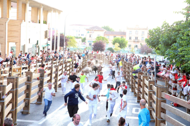 Imagen del primer encierro de las fiestas de Tudela./
