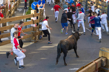 Imágenes del segundo encierro de las fiestas de Tudela 2023