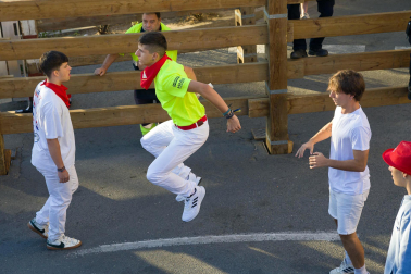 Imágenes del segundo encierro de las fiestas de Tudela 2023