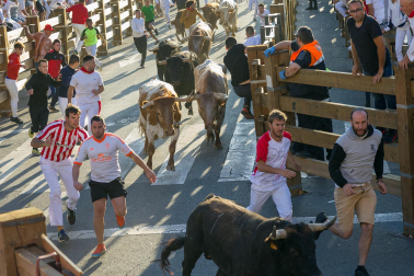 Imágenes del segundo encierro de las fiestas de Tudela 2023