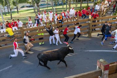 Imágenes del segundo encierro de las fiestas de Tudela 2023