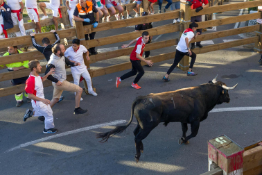 Imágenes del segundo encierro de las fiestas de Tudela 2023