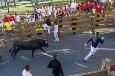 Imágenes del segundo encierro de las fiestas de Tudela 2023