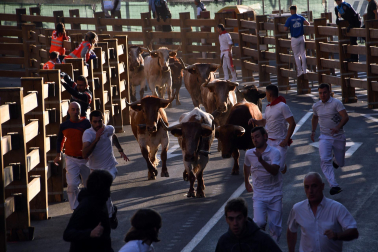 Imágenes del segundo encierro de las fiestas de Tudela 2023