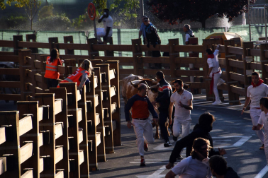 Imágenes del segundo encierro de las fiestas de Tudela 2023