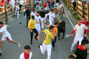 Imágenes del segundo encierro de las fiestas de Tudela 2023