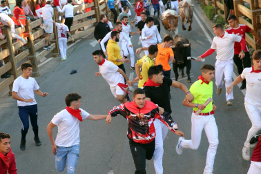 Imágenes del segundo encierro de las fiestas de Tudela 2023