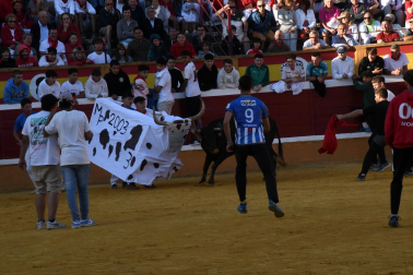 Imágenes del segundo encierro de las fiestas de Tudela 2023