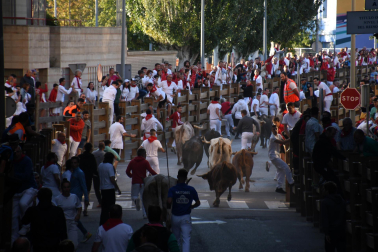 Imágenes del segundo encierro de las fiestas de Tudela 2023