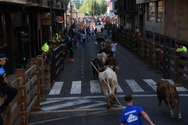 Imágenes del segundo encierro de las fiestas de Tudela 2023