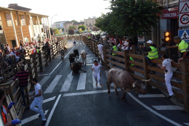 Imágenes del segundo encierro de las fiestas de Tudela 2023
