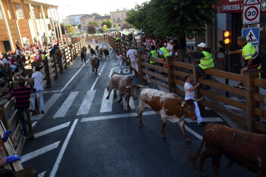 Imágenes del segundo encierro de las fiestas de Tudela 2023