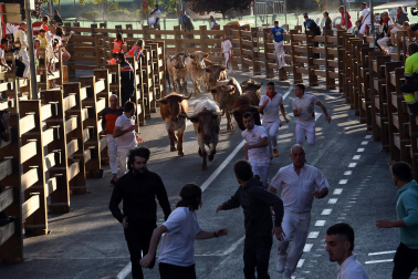 Imágenes del segundo encierro de las fiestas de Tudela 2023