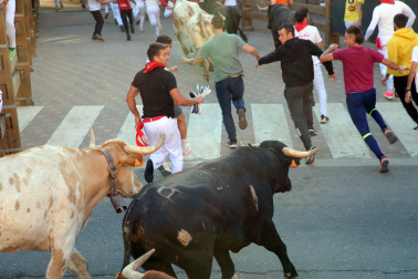 Imágenes del segundo encierro de las fiestas de Tudela 2023