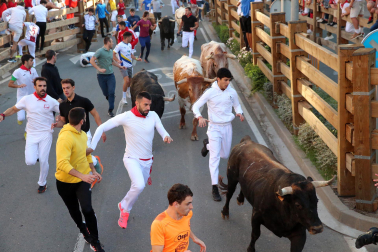 Imágenes del segundo encierro de las fiestas de Tudela 2023