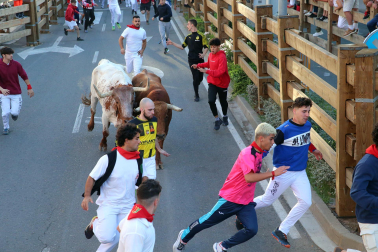 Imágenes del segundo encierro de las fiestas de Tudela 2023