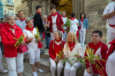 Fotos de la procesión de Santa Ana 'La Vieja' en fiestas de Tudela 2023.