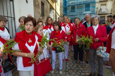 Fotos de la procesión de Santa Ana 'La Vieja' en fiestas de Tudela 2023.