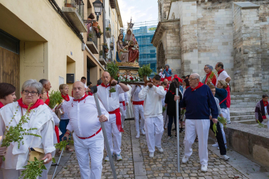 Fotos de la procesión de Santa Ana 'La Vieja' en fiestas de Tudela 2023.