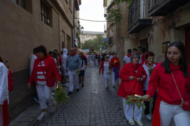 Fotos de la procesión de Santa Ana 'La Vieja' en fiestas de Tudela 2023.