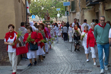 Fotos de la procesión de Santa Ana 'La Vieja' en fiestas de Tudela 2023.