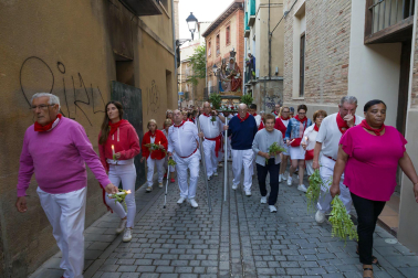 Fotos de la procesión de Santa Ana 'La Vieja' en fiestas de Tudela 2023.