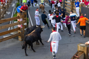 Imagen del cuarto encierro de las fiestas de Tudela
