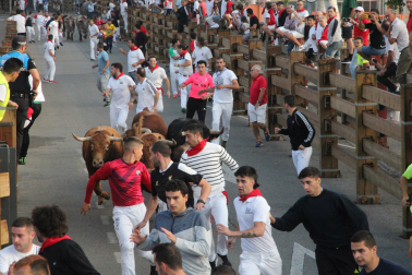 Imagen del cuarto encierro de las fiestas de Tudela