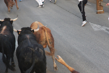Imagen del cuarto encierro de las fiestas de Tudela