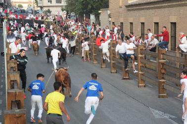 Imagen del cuarto encierro de las fiestas de Tudela