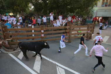 Imagen del cuarto encierro de las fiestas de Tudela