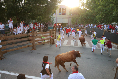 Imagen del cuarto encierro de las fiestas de Tudela