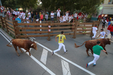 Imagen del cuarto encierro de las fiestas de Tudela