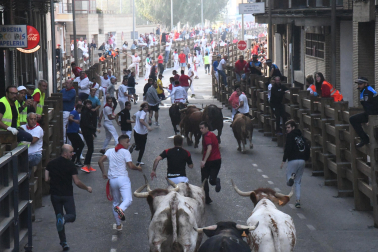 Imagen del cuarto encierro de las fiestas de Tudela