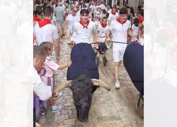 A partir de las 12.30 horas de este viernes se ha celebrado en la calle Rúa de Tudela el encierro infantil, dentro del programa de sus fiestas patronales 2023. El acto, con toros simulados, lo organiza la Orden del Volatín.