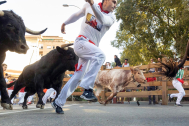 Fotos del quinto encierro de las fiestas de Tudela