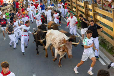 Fotos del quinto encierro de las fiestas de Tudela