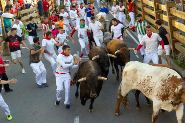 Fotos del quinto encierro de las fiestas de Tudela